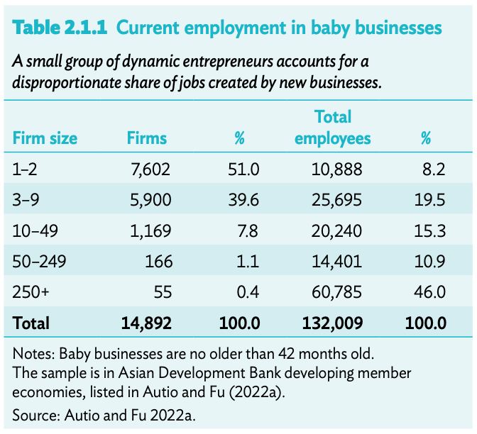 Current employment in baby businesses, Source: ADB 2022