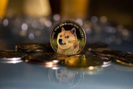 dogecoin-gains-100k-holders-in-in- just-XNUMXmonths,-report