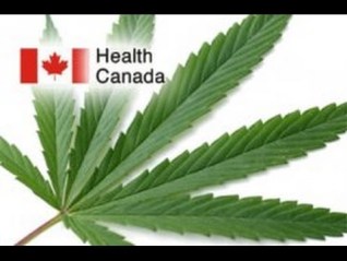 Canadian Legalization Sucks