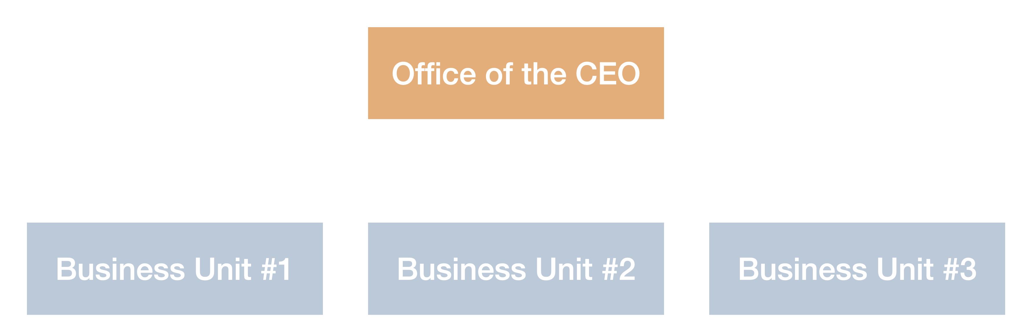 &ldquo;organizational chart of a large software company with an office of the CEO & multiple business units&rdquo;