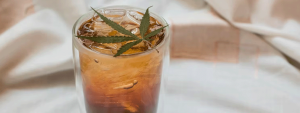 making an infused cannabis drink