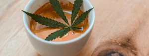 cannabis coffee made cooking with cannabis