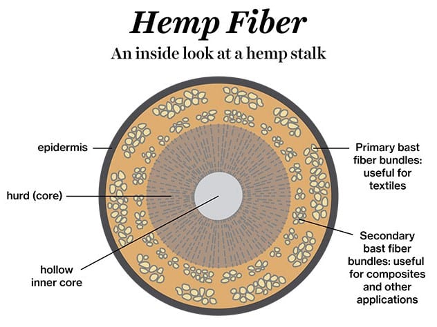 Hemp fiber