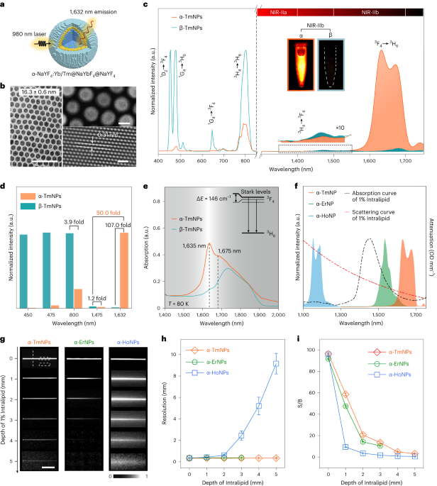 ננו-גבישים מוגברי פלואורסצנציה בחלון הקרוב לאינפרא אדום השני להדמיה דינמית מרובבת בזמן אמת in vivo - Nature Nanotechnology