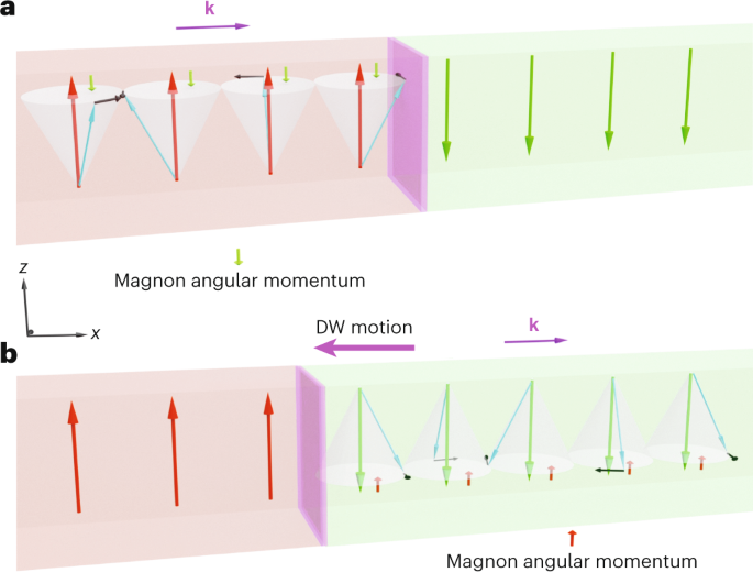 Onde di spin coerenti che guidano il movimento della parete del dominio negli isolanti - Nature Nanotechnology