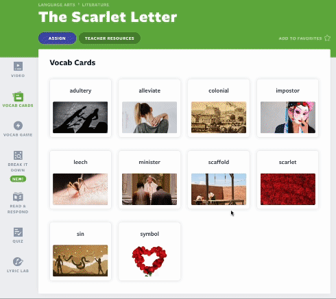 The Scarlet Letter Vocab Cards