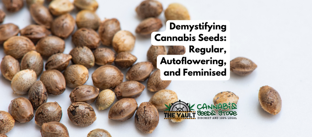 Desmitificando las semillas de cannabis: regulares, autoflorecientes y feminizadas