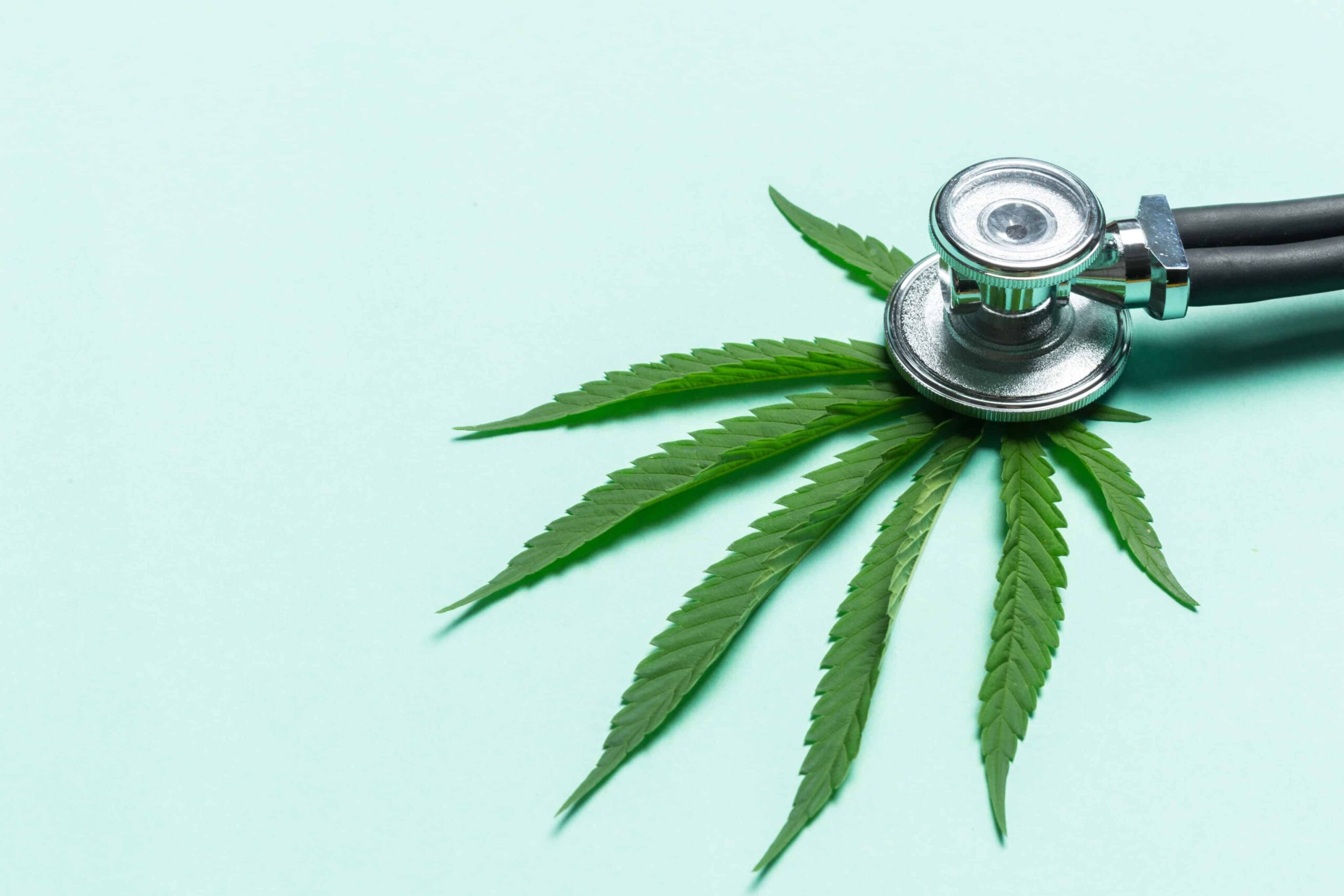 Ärzte schließen sich Aufruf zur Regulierung berauschender Hanf-Cannabinoide an