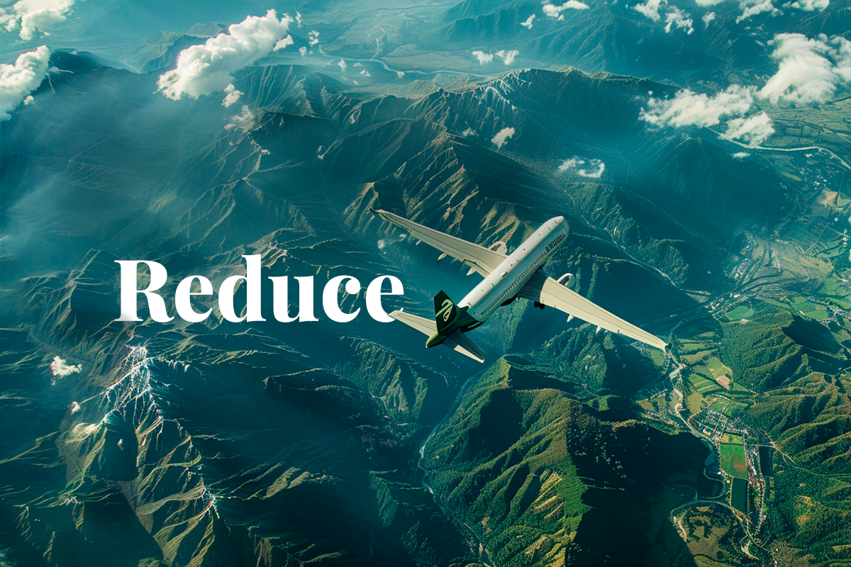 كيفية تقليل انبعاثات السفر الناتجة عن عملك باستخدام الحلول القائمة على الطبيعة