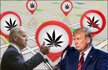 Biden e Trump sostengono la marijuana ricreativa