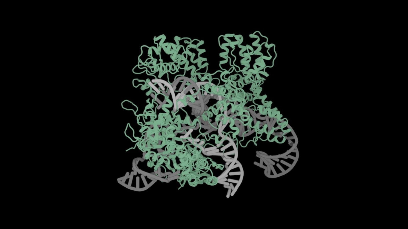 এই এআই স্ক্র্যাচ থেকে মানব কোষের জন্য আরও সুনির্দিষ্ট CRISPR জিন সম্পাদক ডিজাইন করেছে